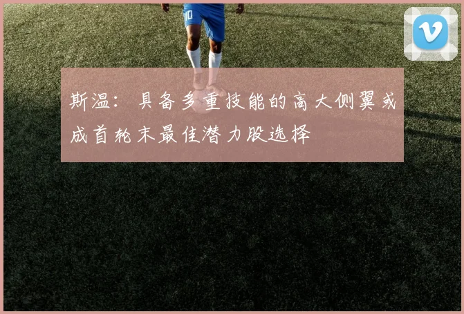 斯温：具备多重技能的高大侧翼或成首轮末最佳潜力股选择